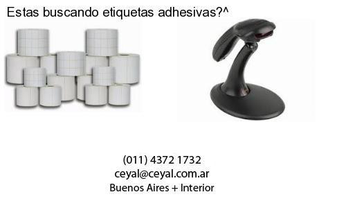 Impresion de etiquetas en una zebra gc420